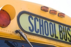 Amerikaanse schoolbus Landgoed de Biestheuvel
