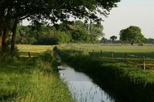 Omgeving van Landgoed de Biestheuvel