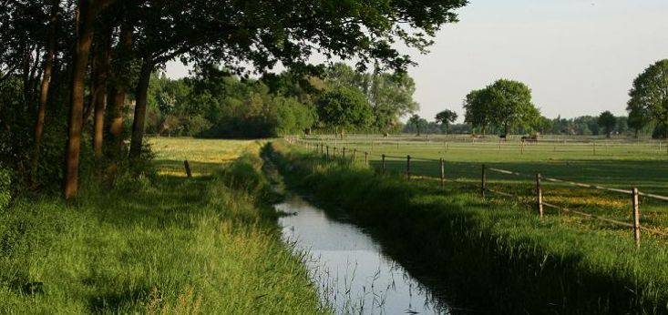 Landelijke omgeving op Landgoed de Biestheuvel