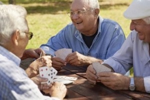 Bridgen op Landgoed de Biestheuvel