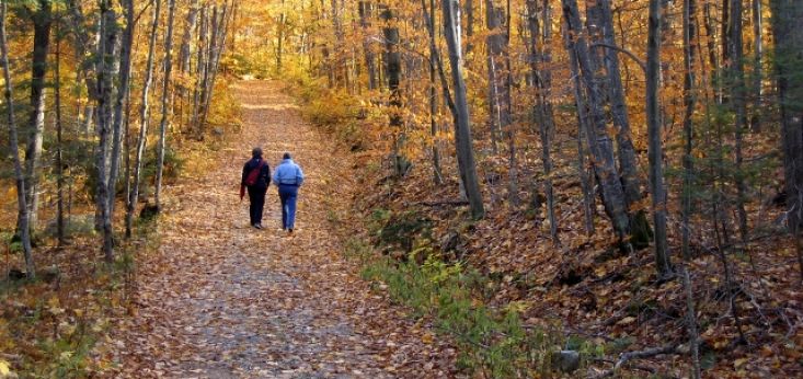 Wandelvakantie bij Landgoed de Biestheuvel