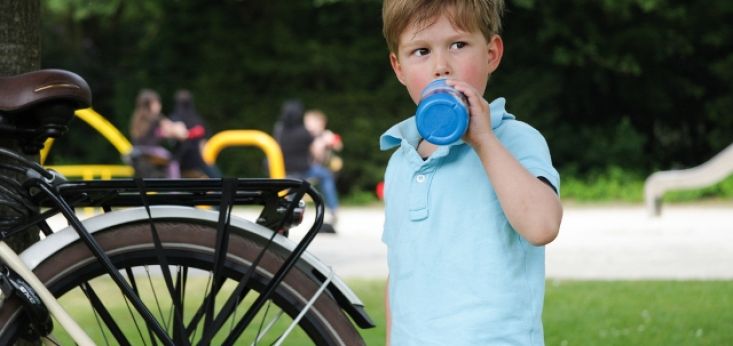 Op Landgoed de Biestheuvel spelen uw kinderen veilig op een groot speelveld