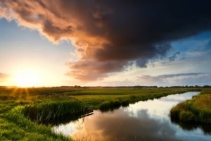 Stromend beekje op Landgoed de Biestheuvel