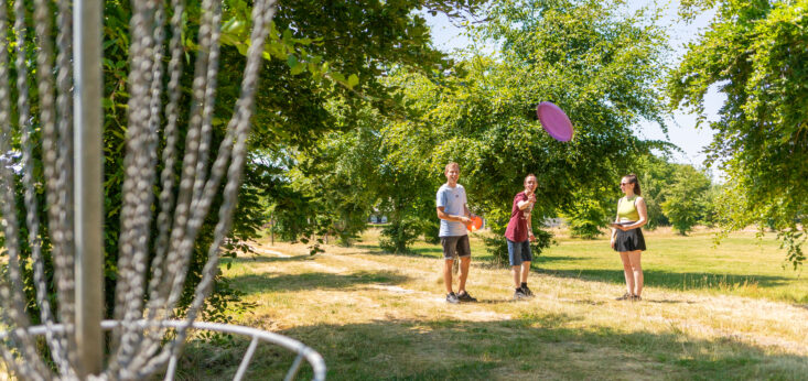 Landgoed de Biestheuvel - Discgolf