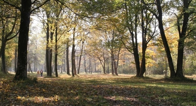 Wandelvakantie bij Landgoed de Biestheuvel