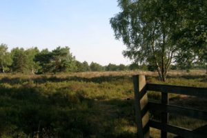 Omgeving van Landgoed de Biestheuvel
