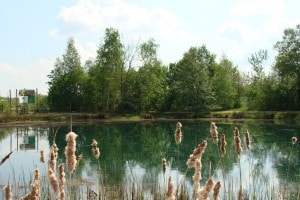 Vijver op Landgoed de Biestheuvel