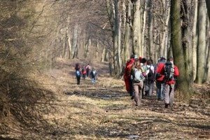 Wandelen in omgeving van Landgoed de Biestheuvel