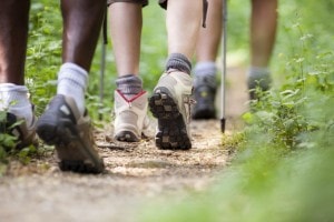 GPS tocht Landgoed de Biestheuvel