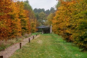 Herfst op Landgoed de Biestheuvel