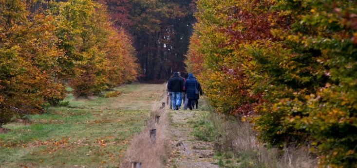 Wandelen bij Landgoed de Biestheuvel