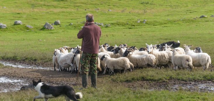 Landgoed de Biestheuvel - Bedrijfsuitje workshops