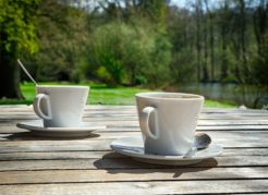 Koffie op het terras bij Landgoed de Biestheuvel