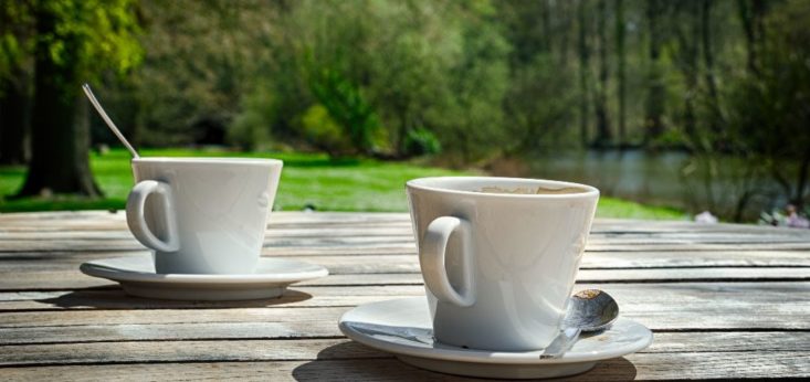 Koffie op het terras bij Landgoed de Biestheuvel