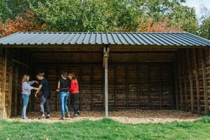 Samenwerkingsopdrachten op Landgoed de Biestheuvel