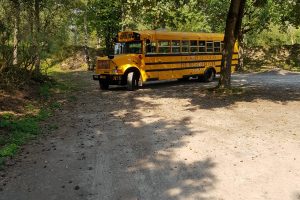 Amerikaanse Schoolbus Landgoed de Biestheuvel