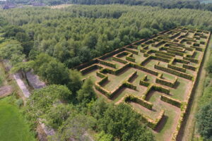 Landgoed de Biestheuvel - Doolhof