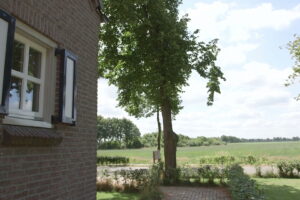 Landgoed de Biestheuvel - De Hoeve